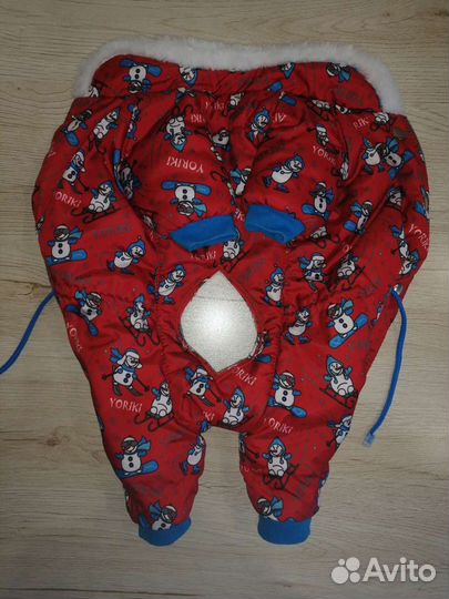 Одежда для маленьких собак