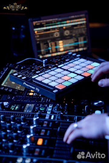 Звук свет экран проектор диджей ведущий свадьба