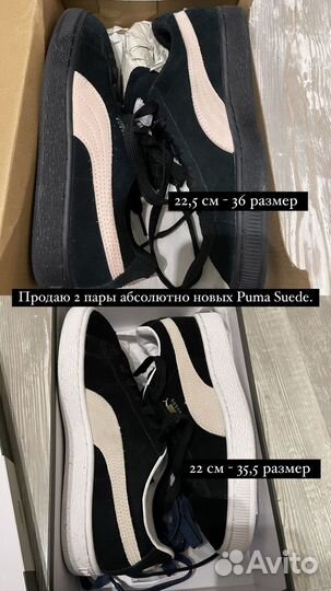 Puma suede