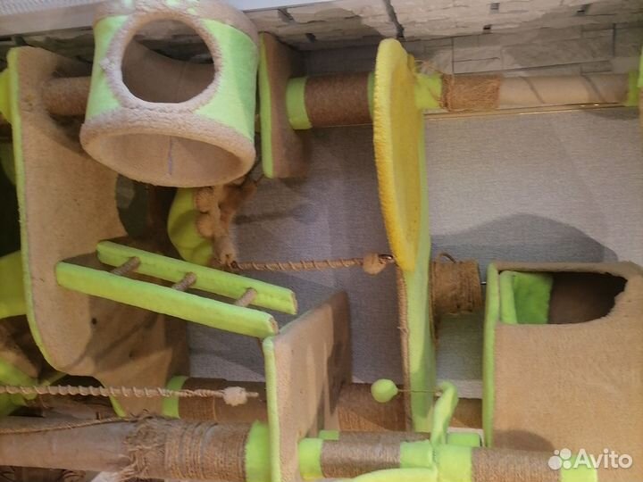 Кошачий дом