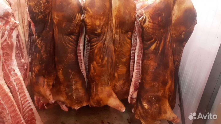 Мясо Свинина / говядина / баранина