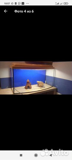 Большой аквариум