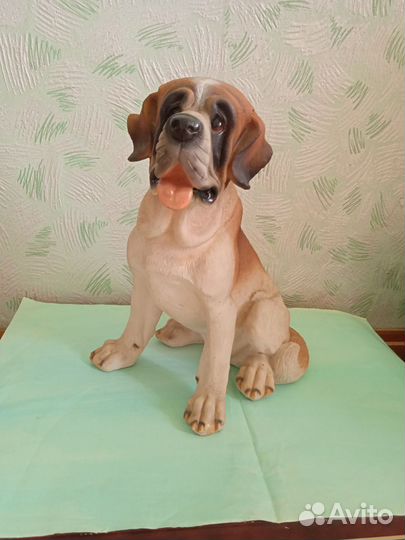 Собака ростовая, сенбернар