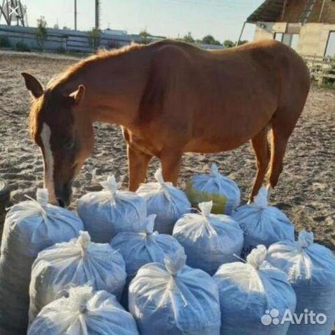 Навоз и Конский Перегной в мешках 50л
