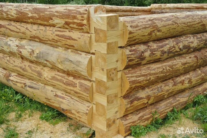 Срубы из бревна