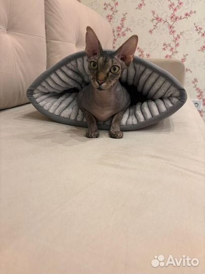 Лежанка для кошек и собак