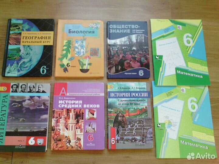 Учебники и рабочие тетради (6 класс)