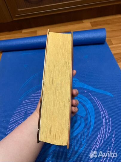 Янтарный телескоп (Филип Пулман)