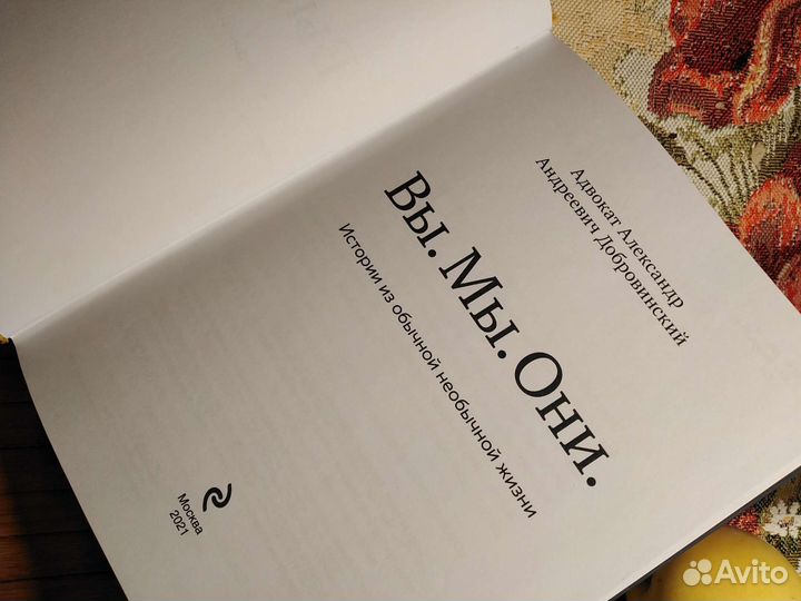 Добровинский. Вы. Мы. Они