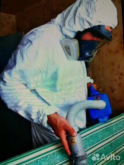 Уничтожение клопов, тараканов, муравьёв, блох