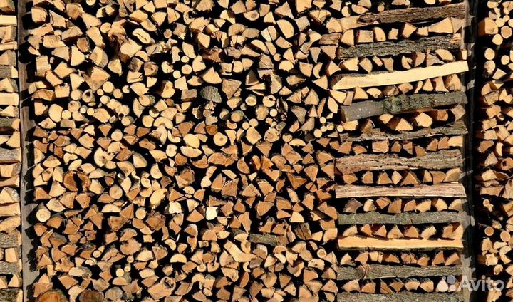 Дрова без жучков