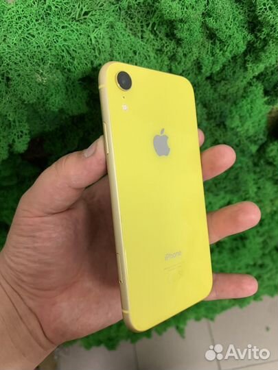 iPhone Xr, 128 ГБ