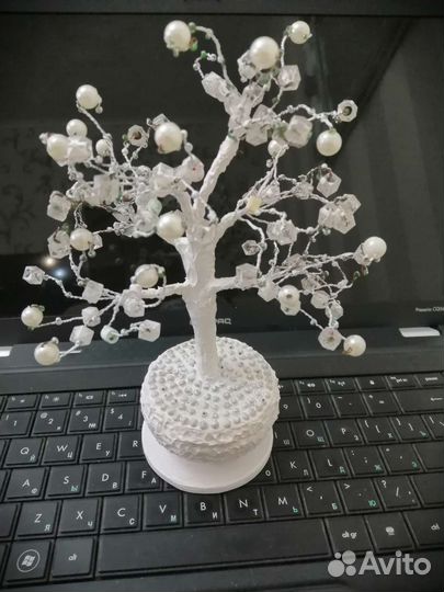 Кофейное дерево
