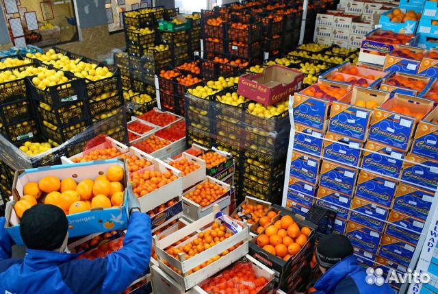 Торговая компания (продукты) с опытом вэд