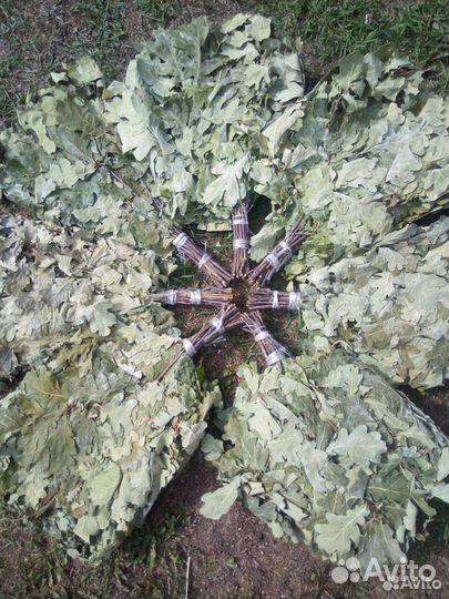 Банные веники