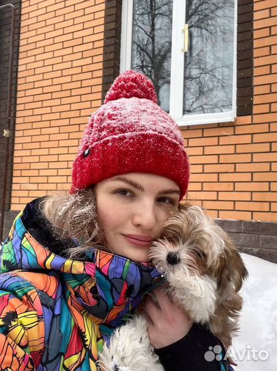 Передержка животных/зооняня