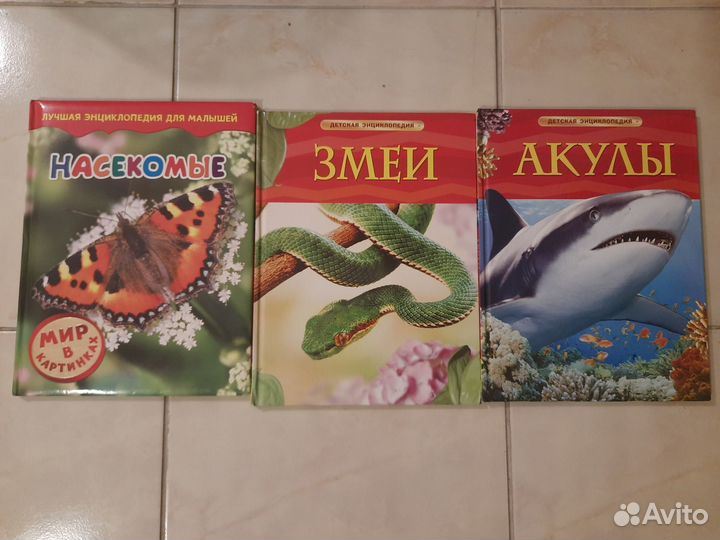 Книги Энциклопедии Справочники Детские Школьникам