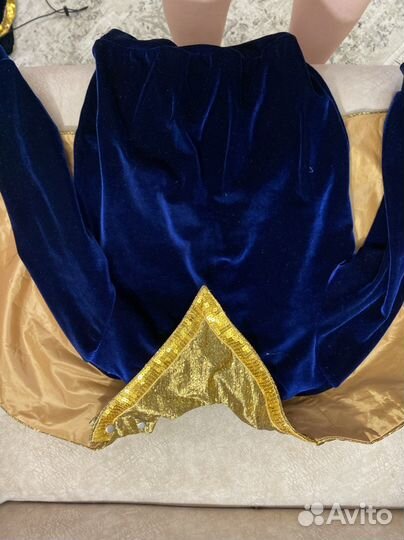 Костюм сверчка