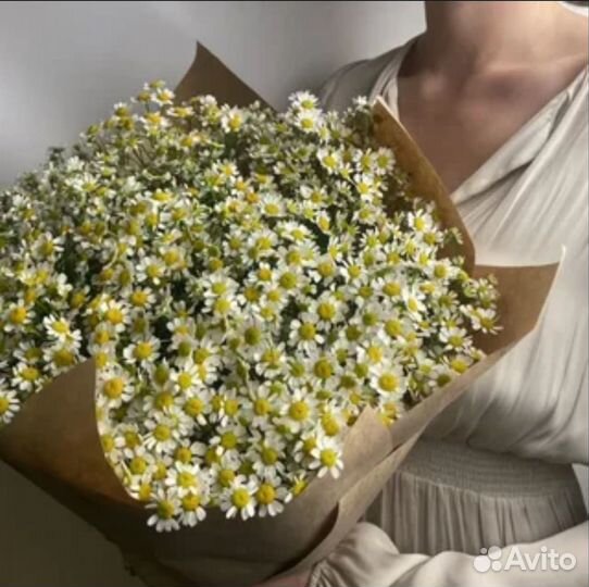 Ромашки цветы с доставкой букеты