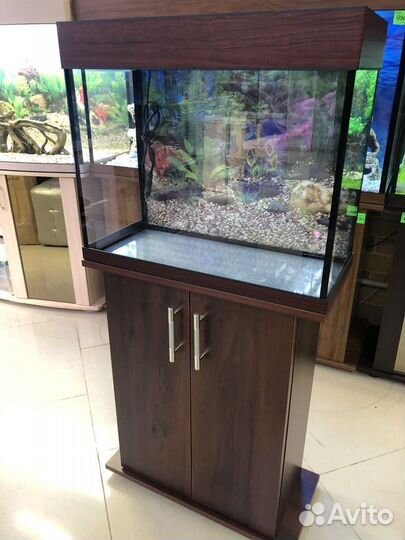 Аквариум 60 литров