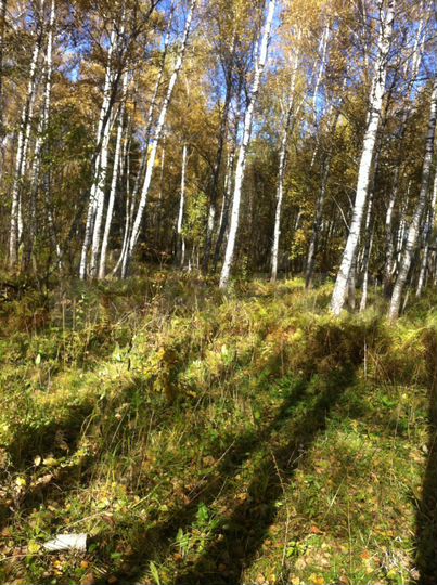 Участок 20 сот. (ИЖС)