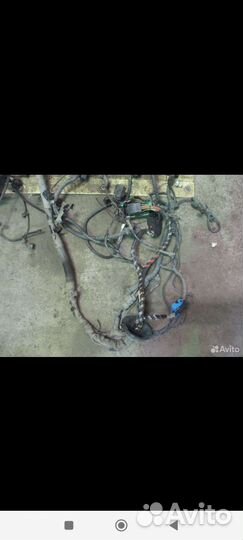 Проводка подкапотная Форд фокус 2