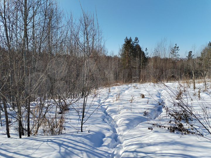 Участок 12 сот. (СНТ, ДНП)