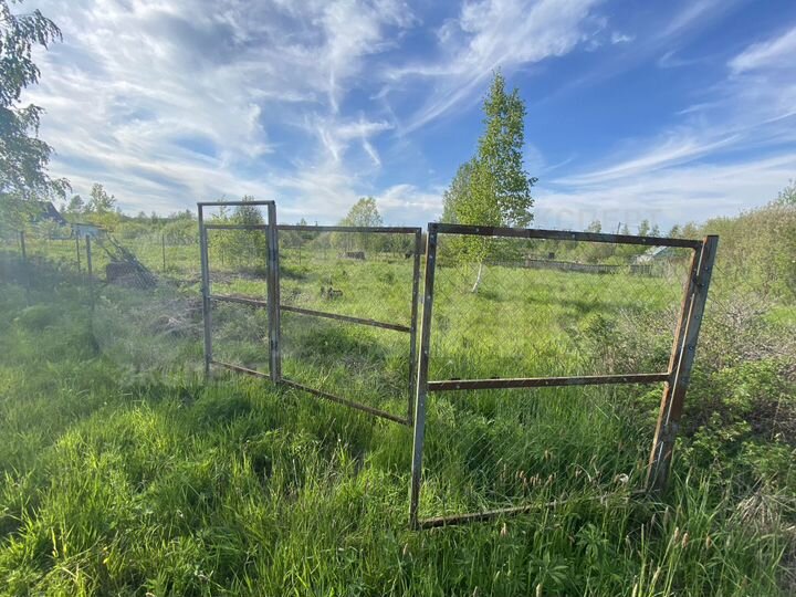 Участок 6,3 сот. (СНТ, ДНП)