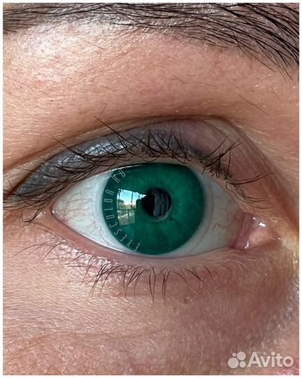 Оттеночные линзы DOX