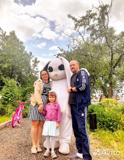 Экспресс поздравление