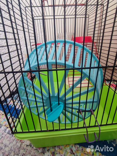 Колесо для грызунов