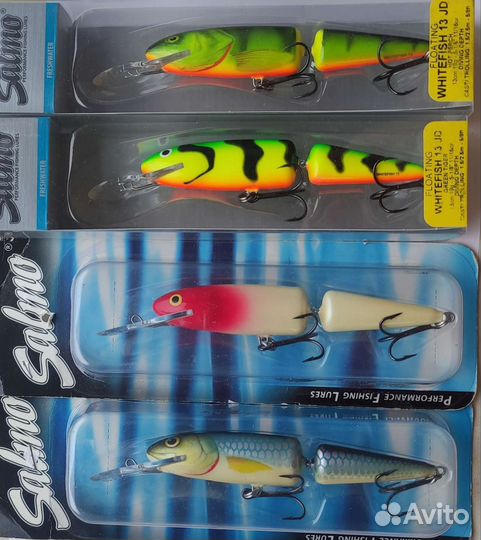 Salmo whitefish 13JD