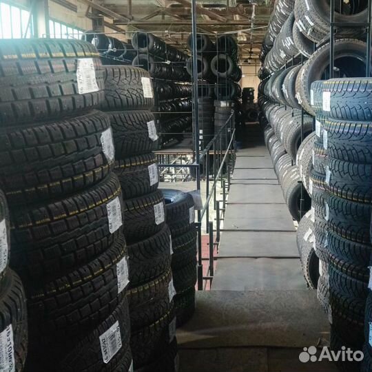 Premiorri ViaMaggiore 205/60 R16 92T