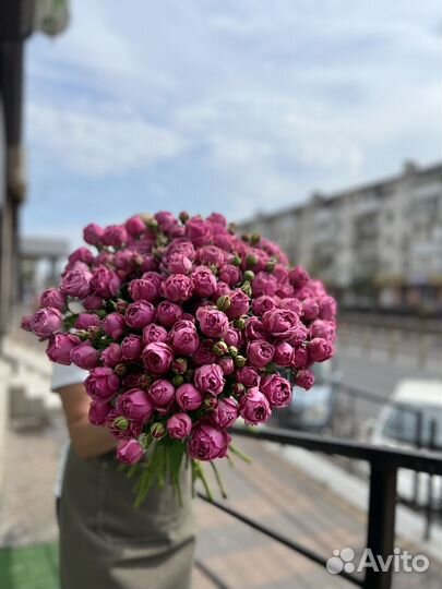 Цветы кустовые розы и букеты с доставкой