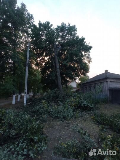 Валка аварийных деревьев