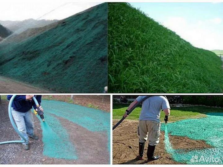 Гидропосев газона