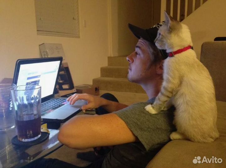 Нет планов продаж.Удаленно от 6 ч.в день. Оператор