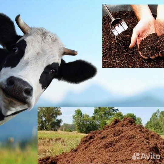 Навоз конский, коровий в мешках