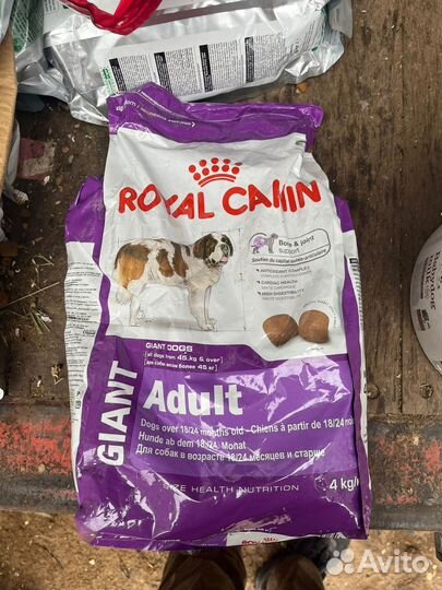 Корм для собак royal canin сухой