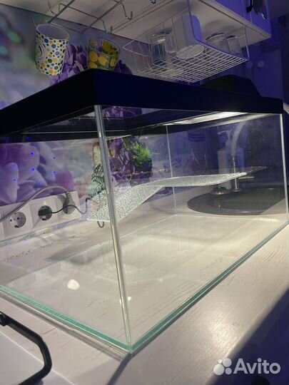 Аквариум для черепах