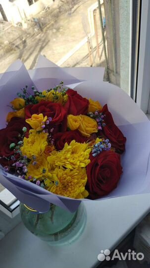 Животные в дар