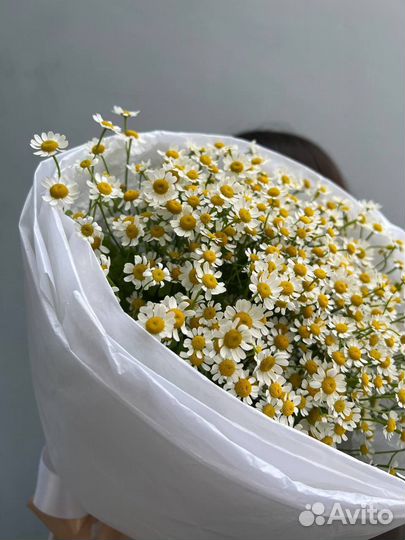 Ромашки (букет из цветов)