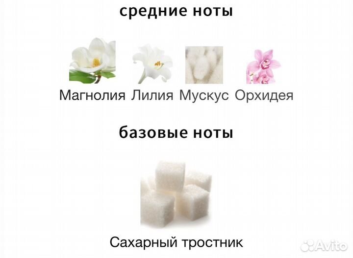 Max mara eau de parfum 10 ml