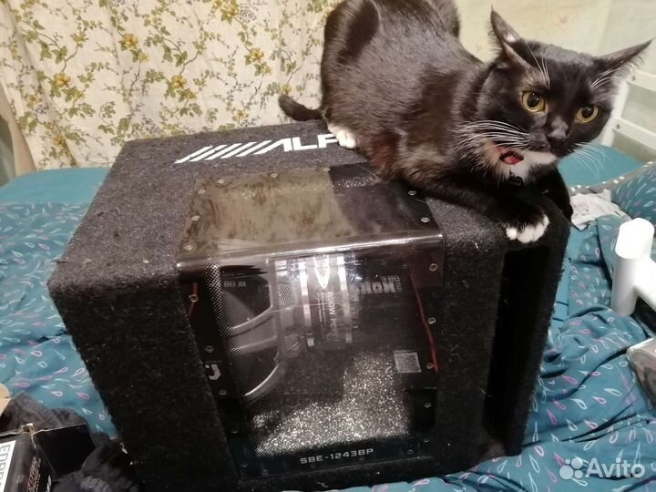 Сабвуфер alpine с усилителем