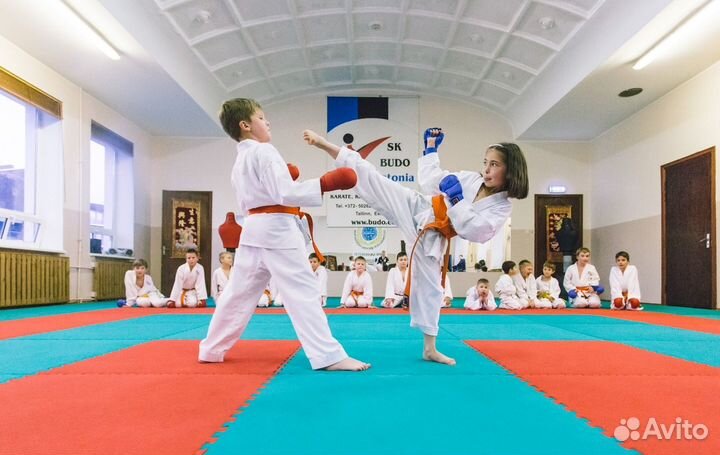 Маты татами