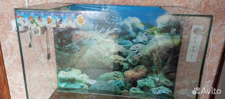 Аквариум