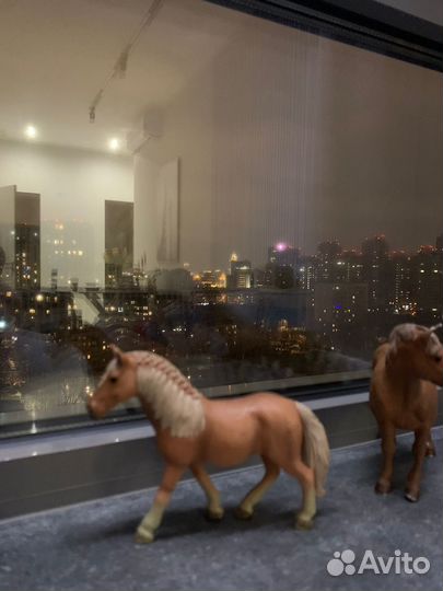 Molo лошадки жеребятки