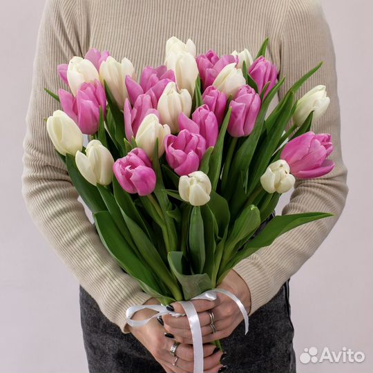 Тюльпаны Крупные премиум не местные Голландия