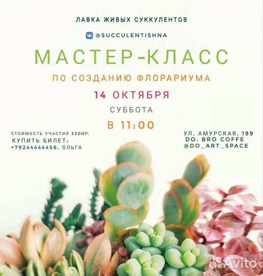 Суккуленты, создаём флорариум