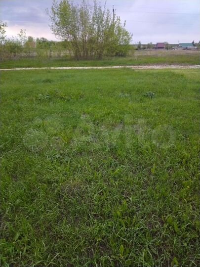 Участок 40 сот. (ИЖС)